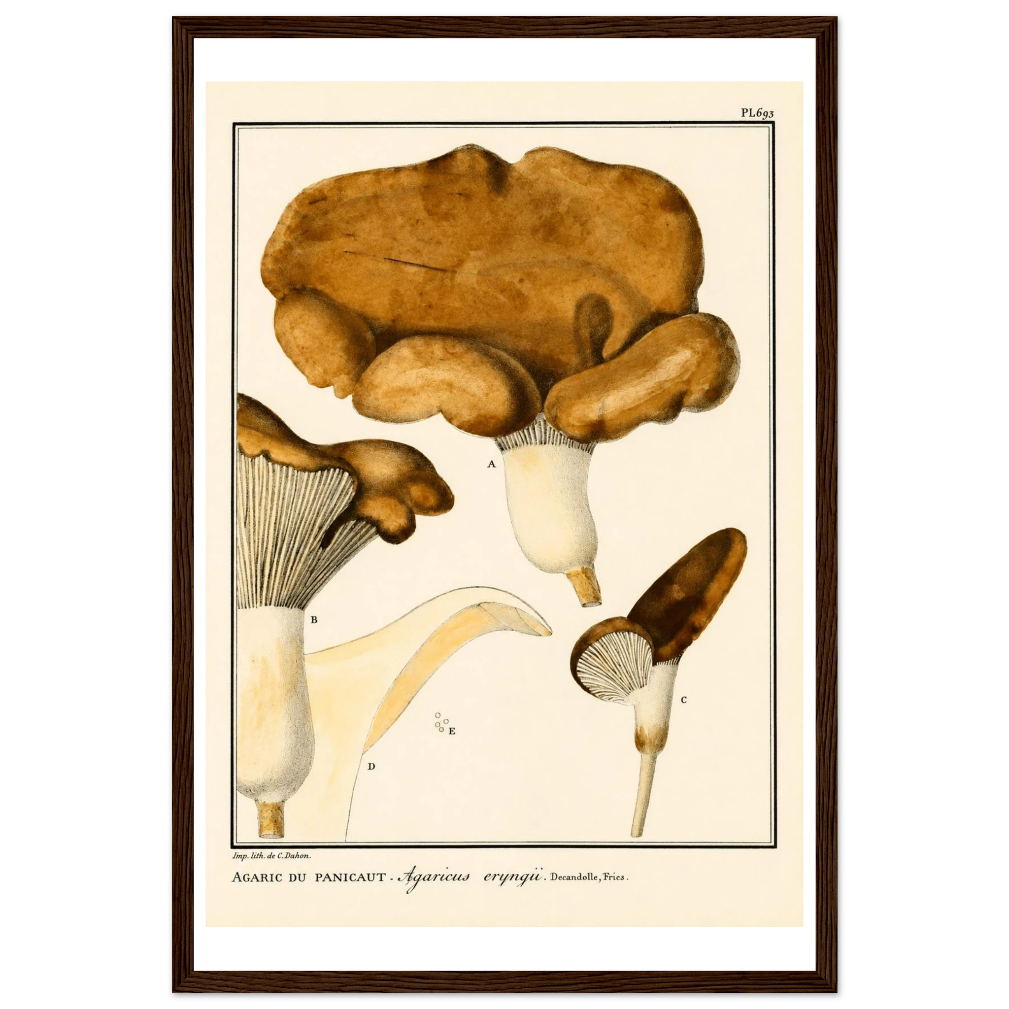 f7829e6c-9758-4d33-ae2f-01fcadfe3104
