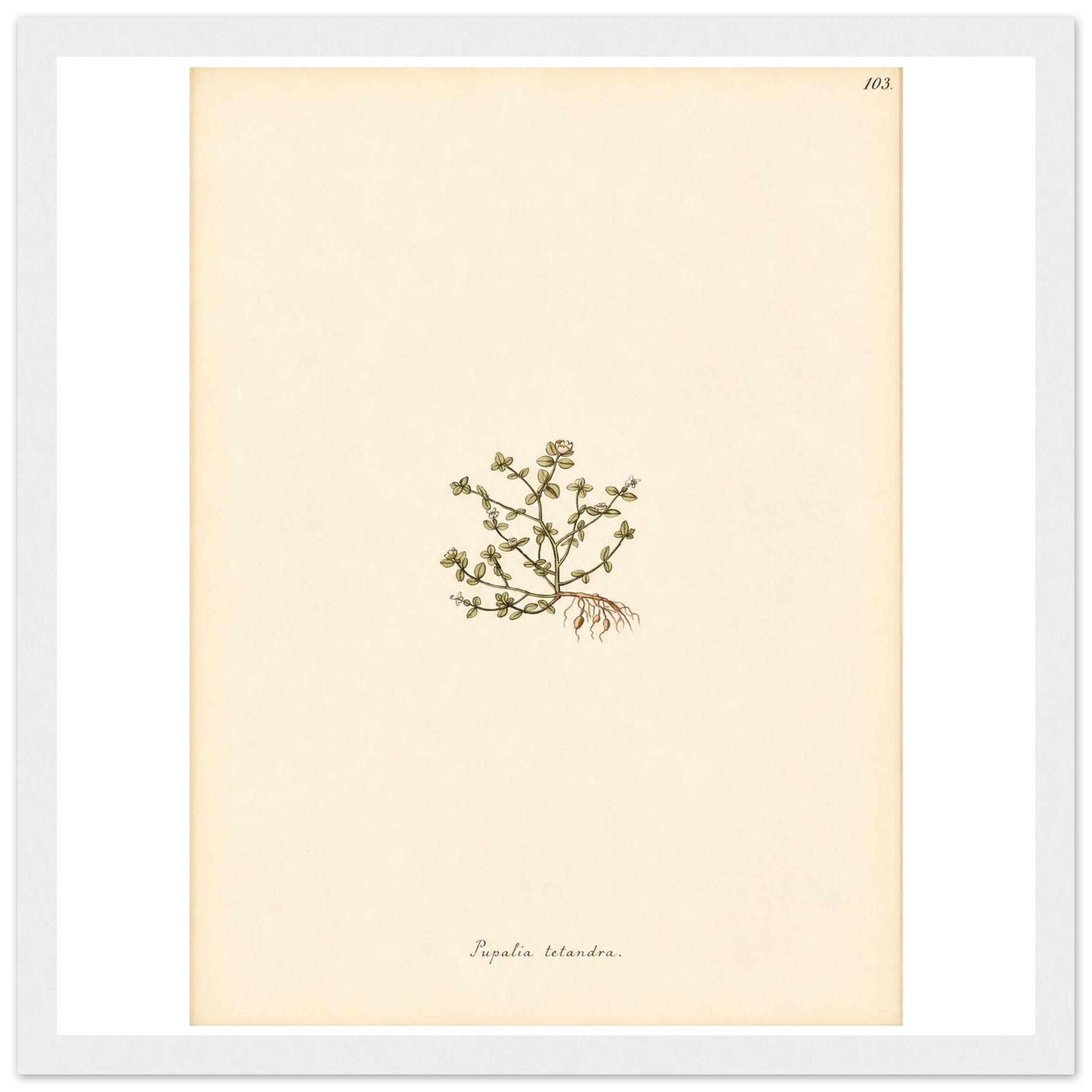 f82540b7-6d64-47c0-acfb-f1f6b07c8cb3