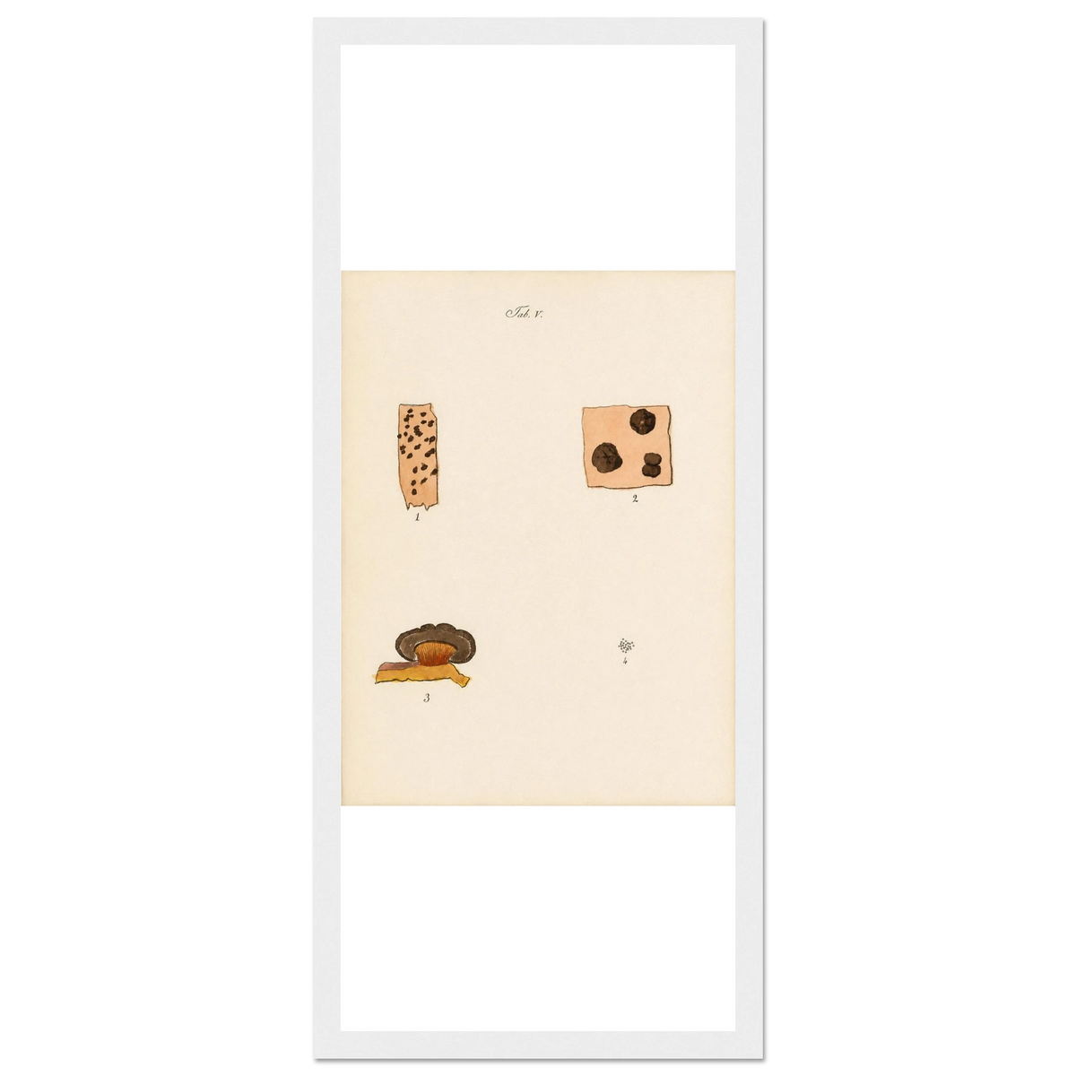 f82b852f-4d58-4e4e-b474-0d8c5a0fdd56