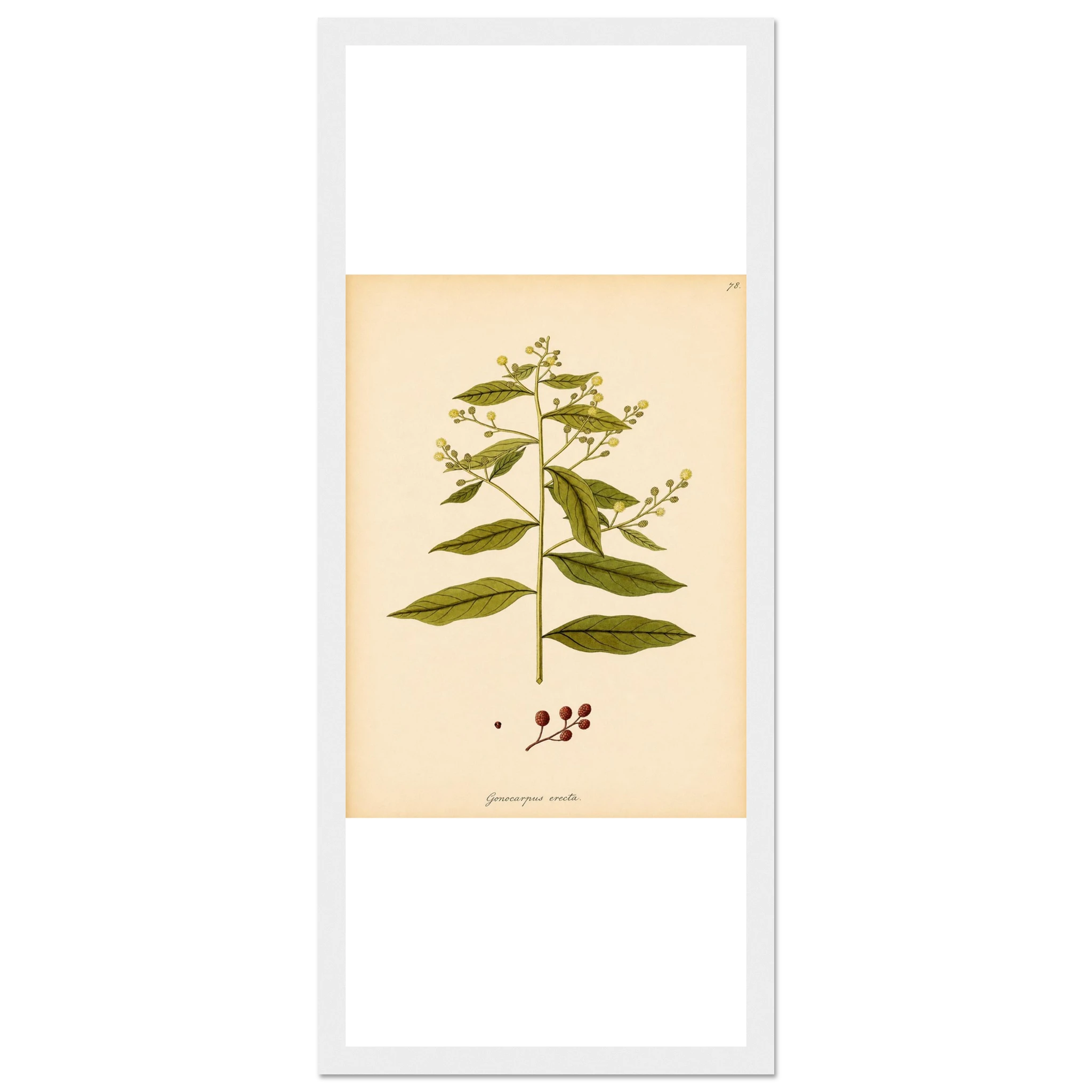 f82cbd5b-e17e-4030-8eab-ac4efdd4894c