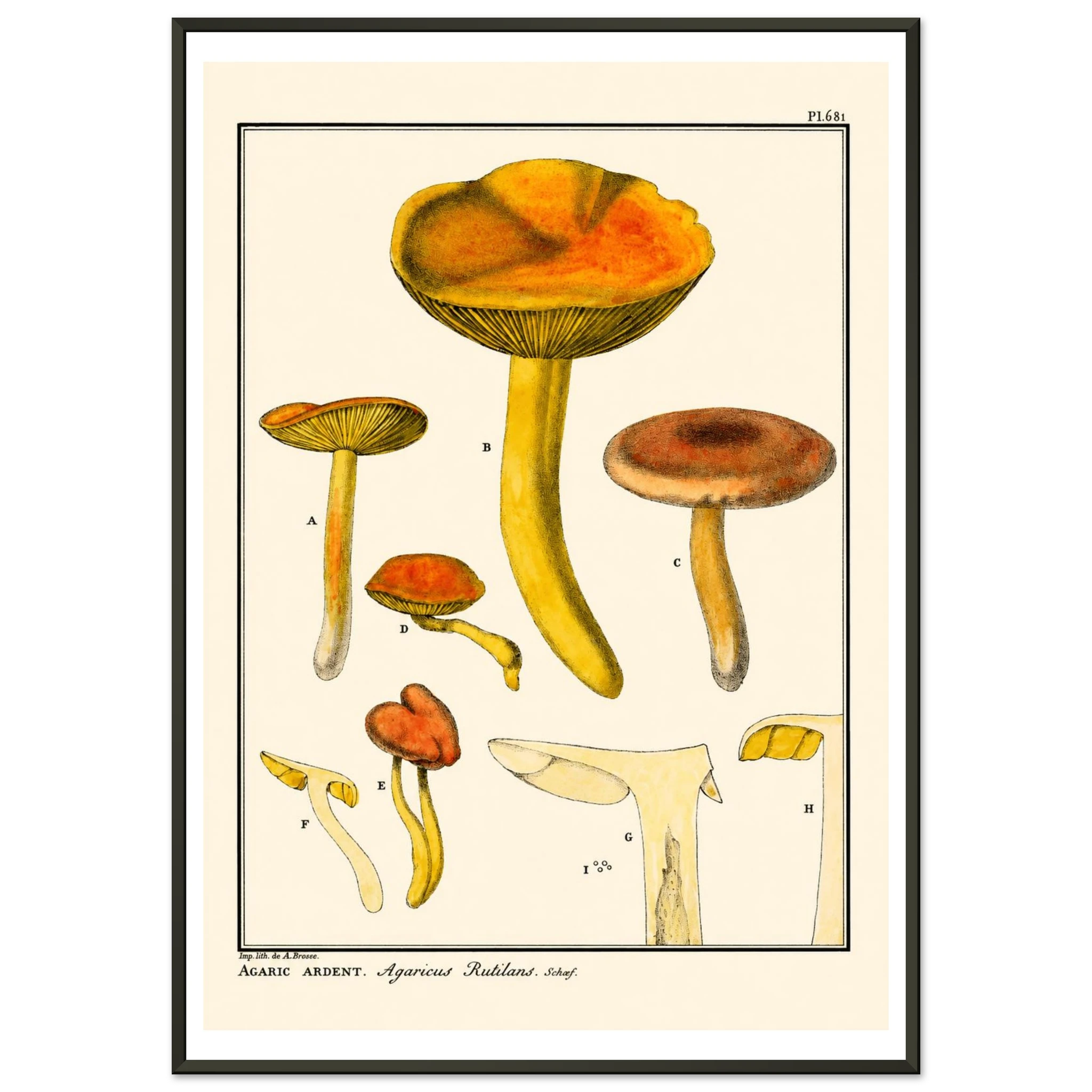 f8db1f1d-e906-463f-acdb-64bb83cbd59c