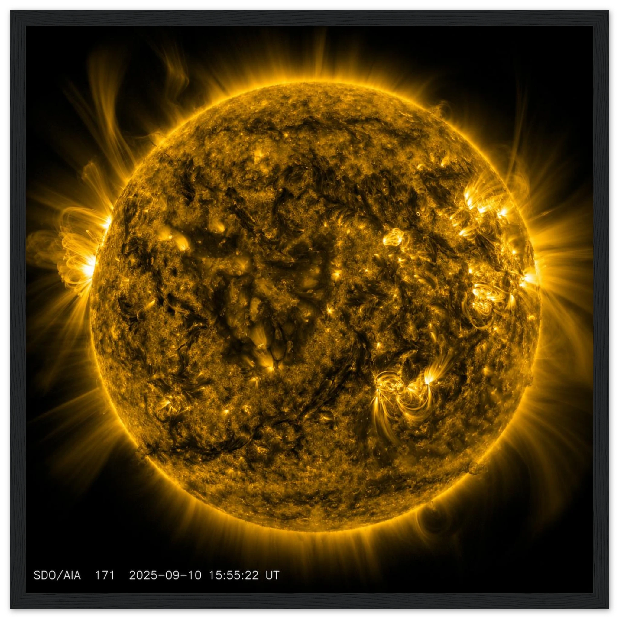 f8e56725-a58e-44e3-9a91-3f70ede6958a
