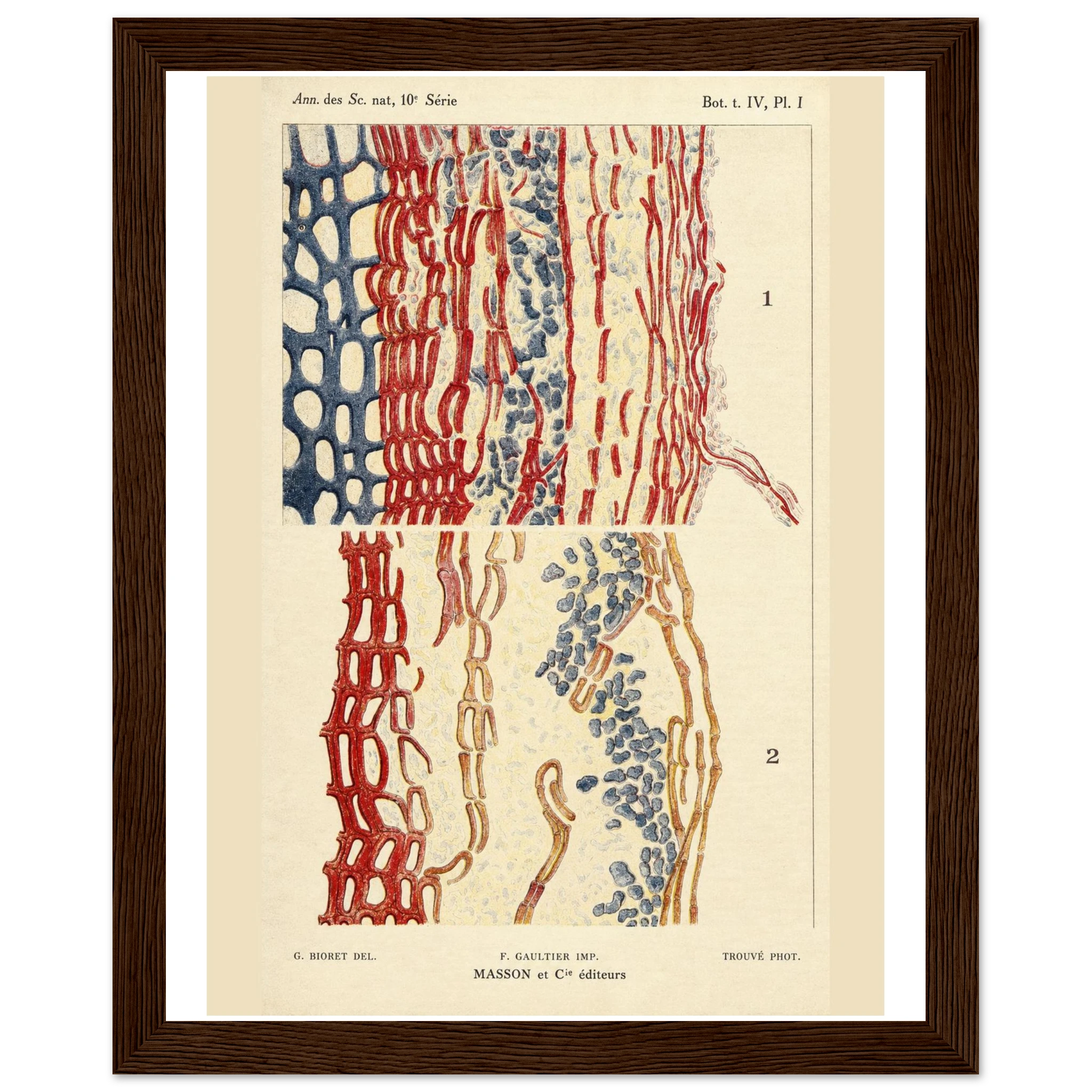 f9a444f9-2afb-4da1-bd38-54f89e1a1671