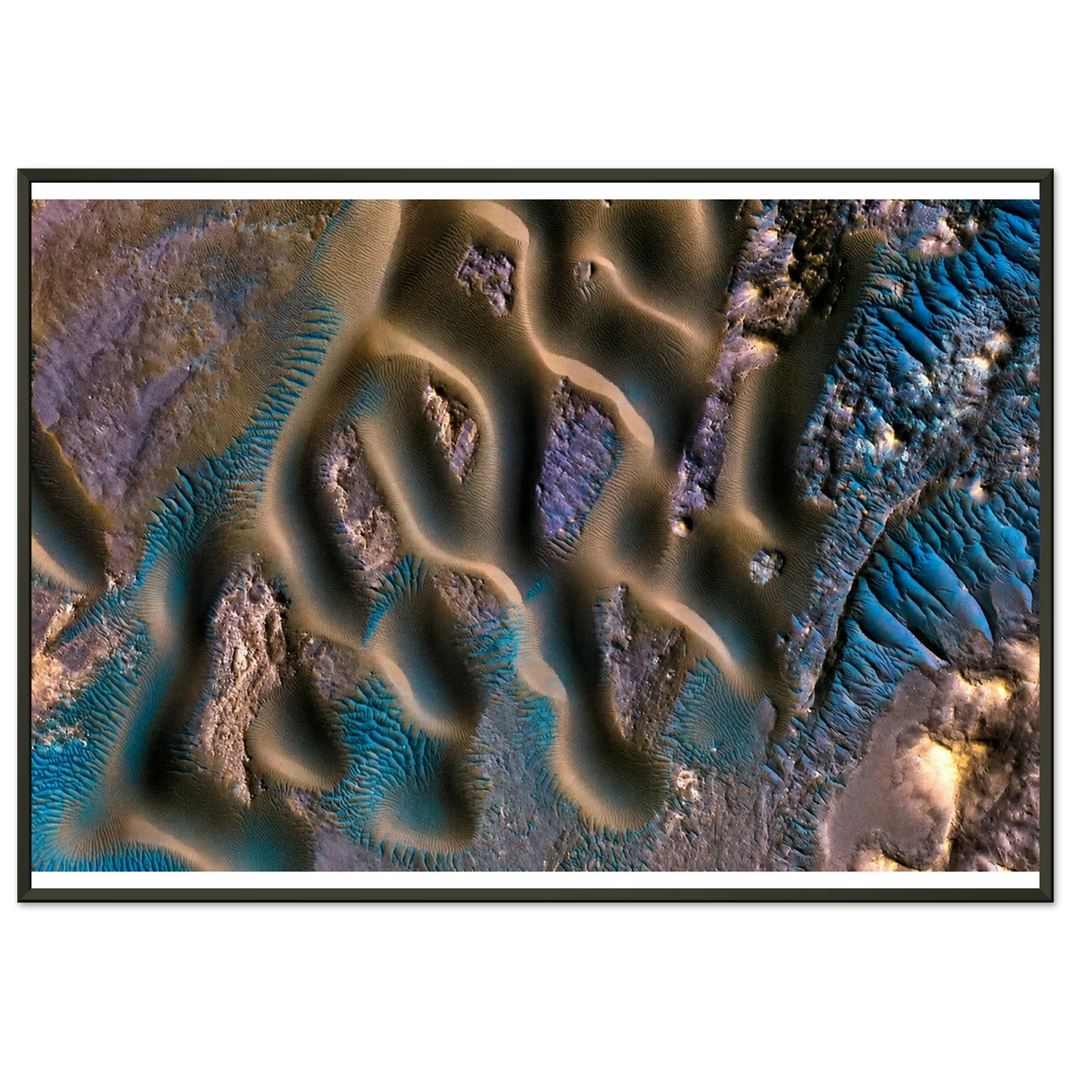 f9ef6492-7e70-4950-93dd-e09b6ba5e977
