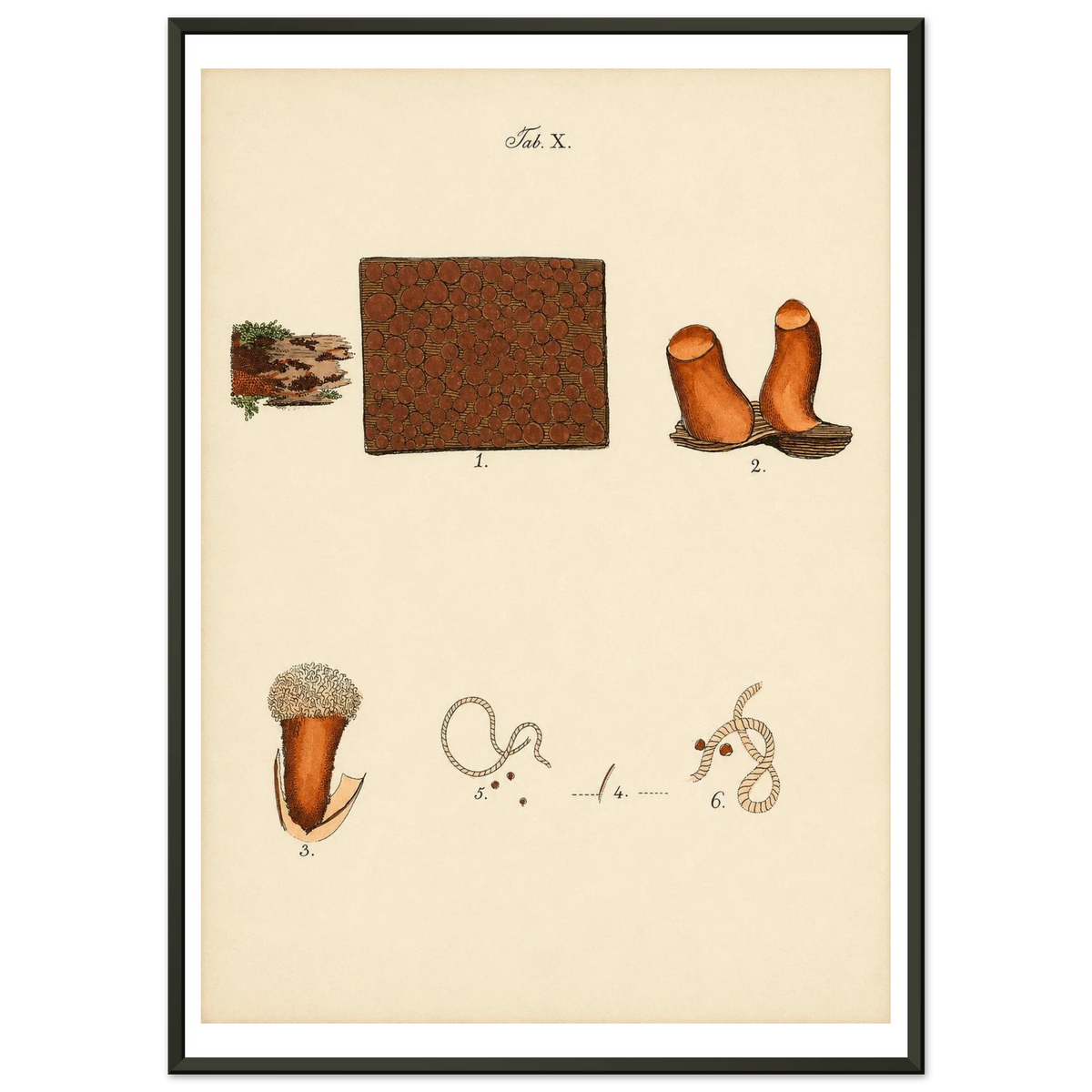 fa011b46-01ac-4443-b3e3-9c759b023c1f