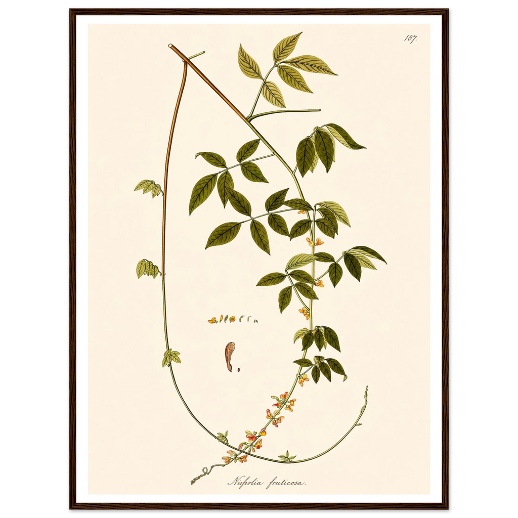 fa153331-d3e9-4f7c-b400-ec162770c89b