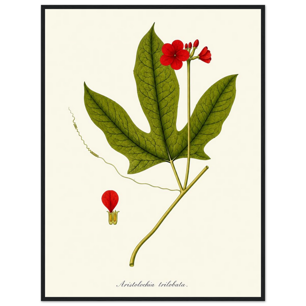 fa633eed-5390-4f54-9507-ff48689fab43