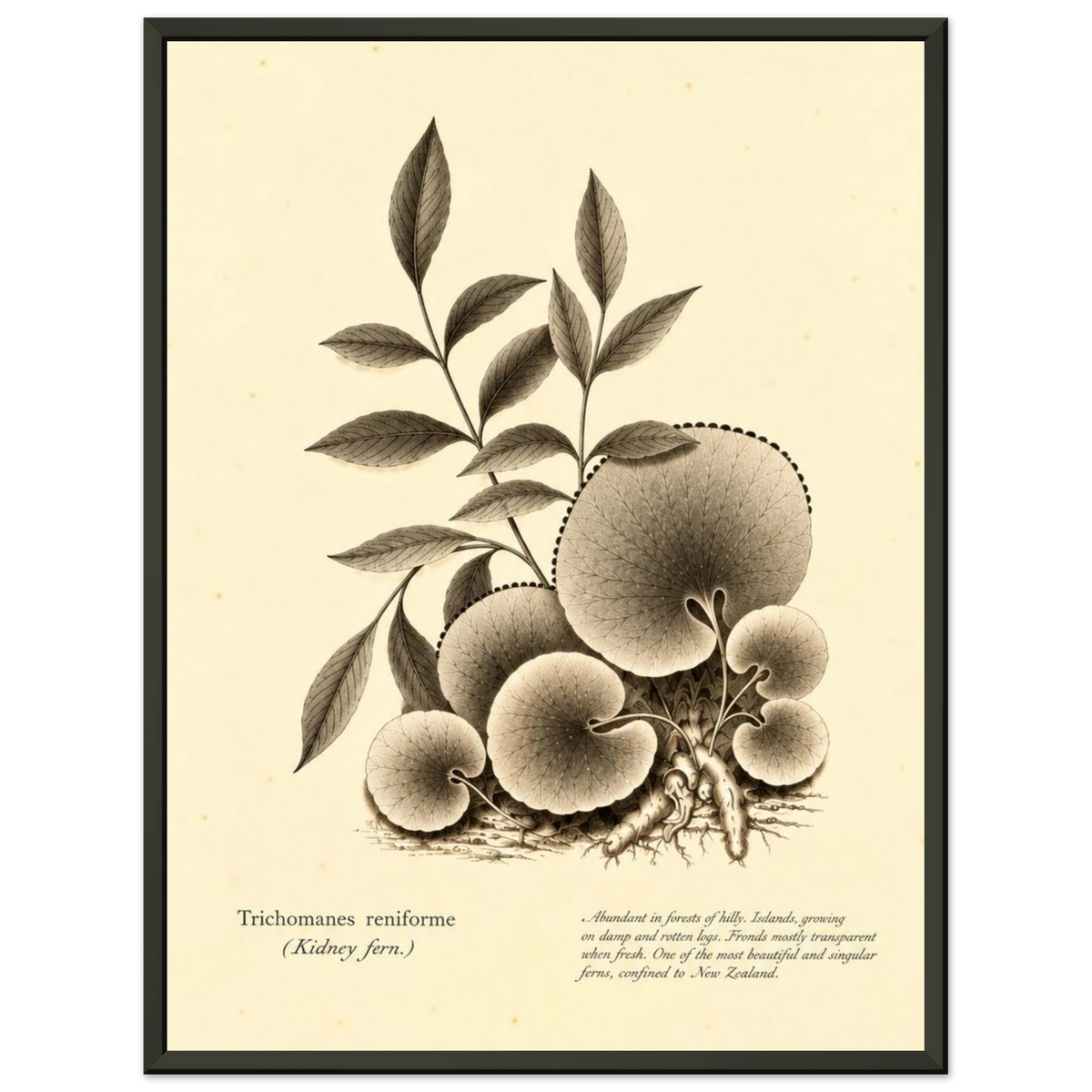 fa644655-25d6-4988-bce8-26e68bb29603