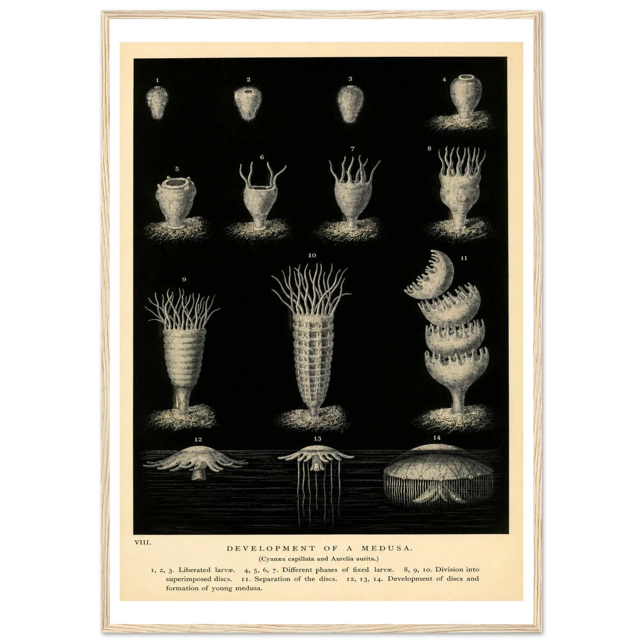 fa68ab98-8745-40ad-abdc-34b2826f854f