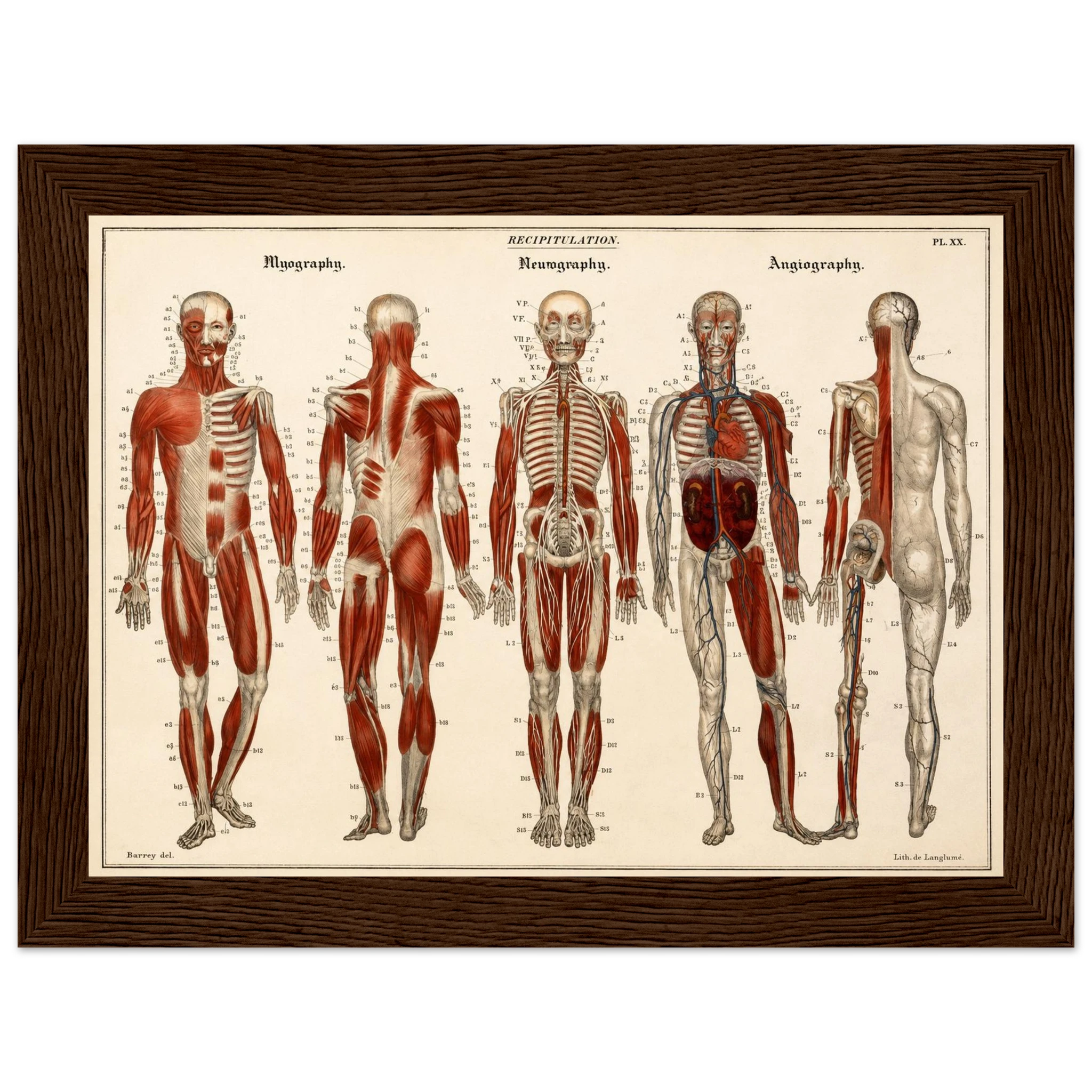 fac1ab05-7ad7-4734-bb3d-df0791be22ed