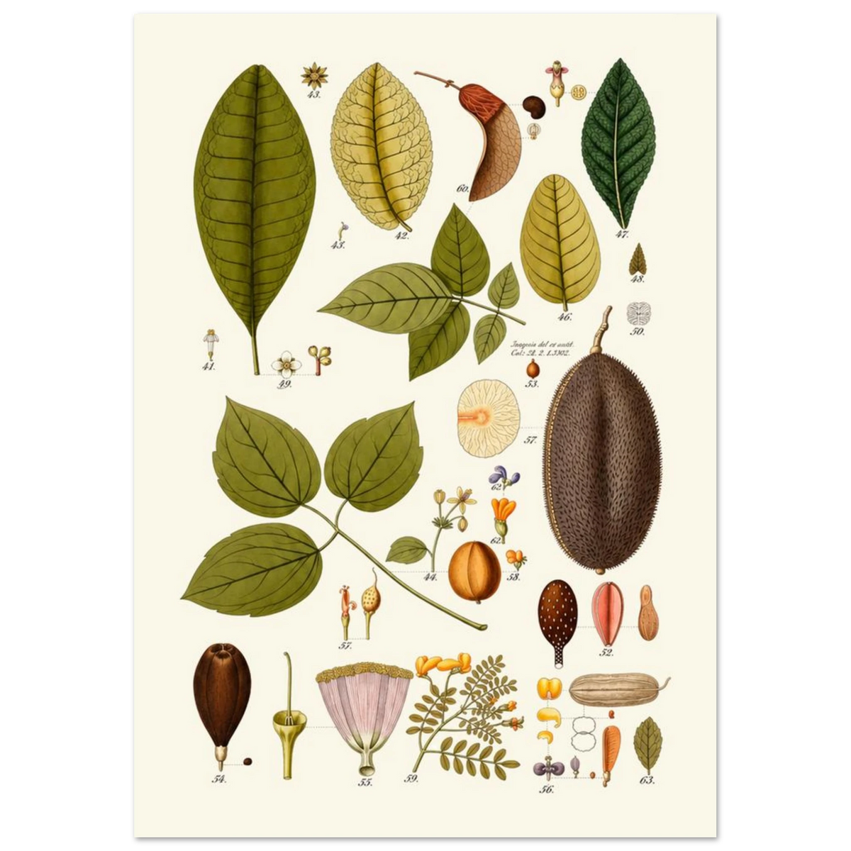 fac72fee-d621-420a-991b-7f1cc7f608c4