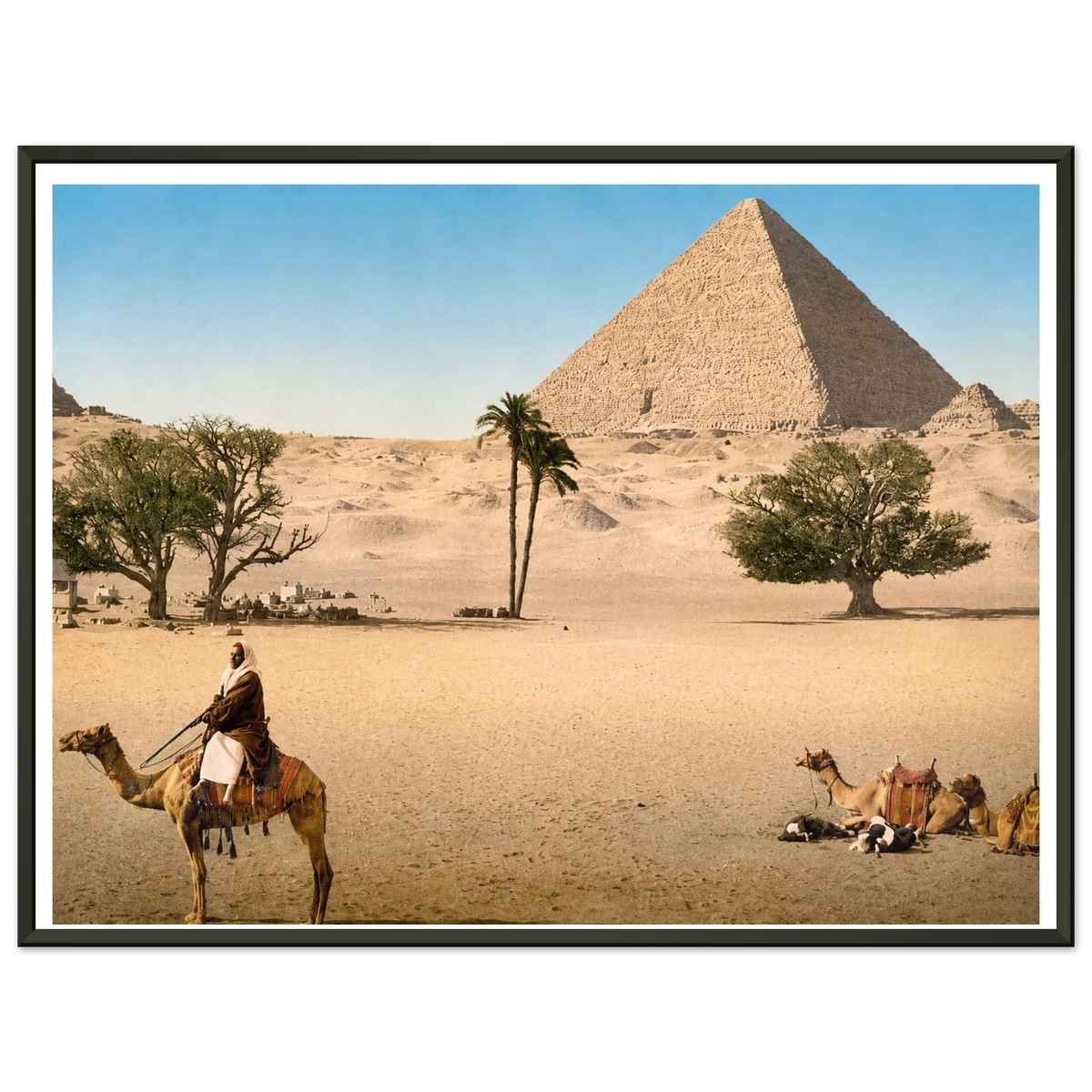 fae603e5-77bc-4c9d-a235-4646e30eb5e6