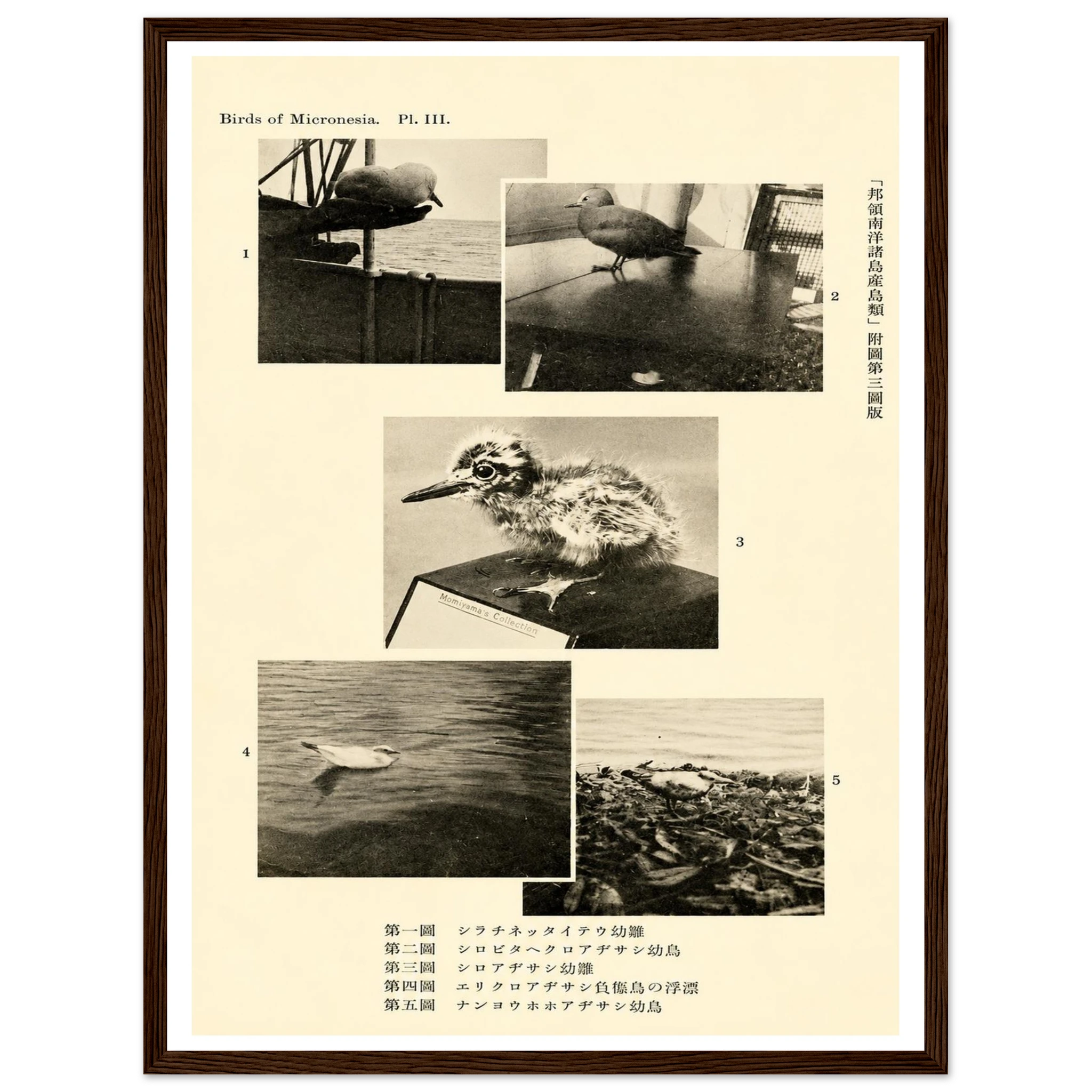 fb691fc7-f31a-446a-bd00-5201f93fcbd3