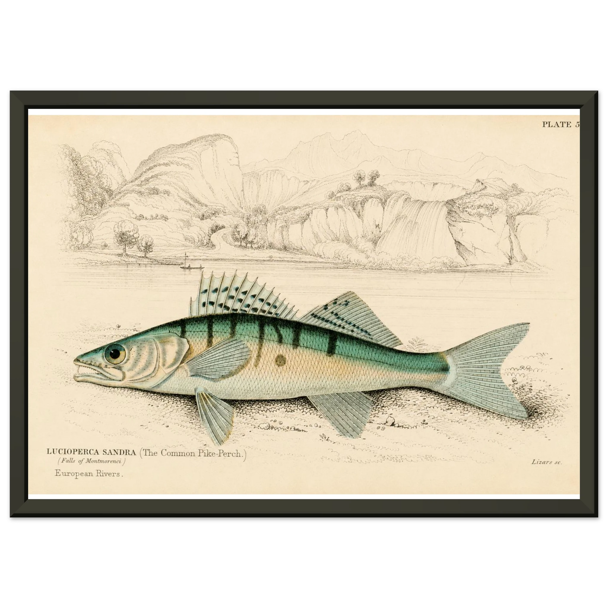 fbc2738e-f16c-4633-8aaf-45bdecbbf507