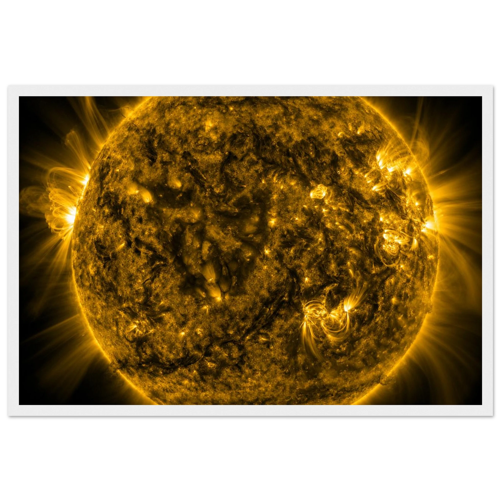 fcaf4cd8-db5b-4ca2-ab81-065ce2b0f0b2