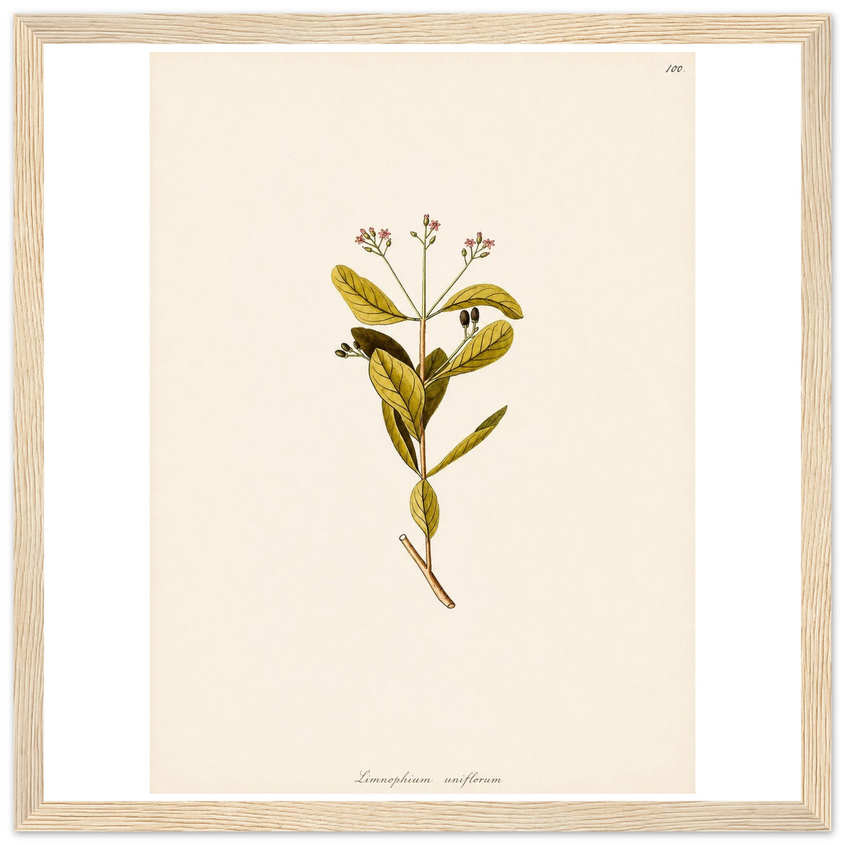 fcd988d6-efbc-49ed-9e3c-f65720da8455
