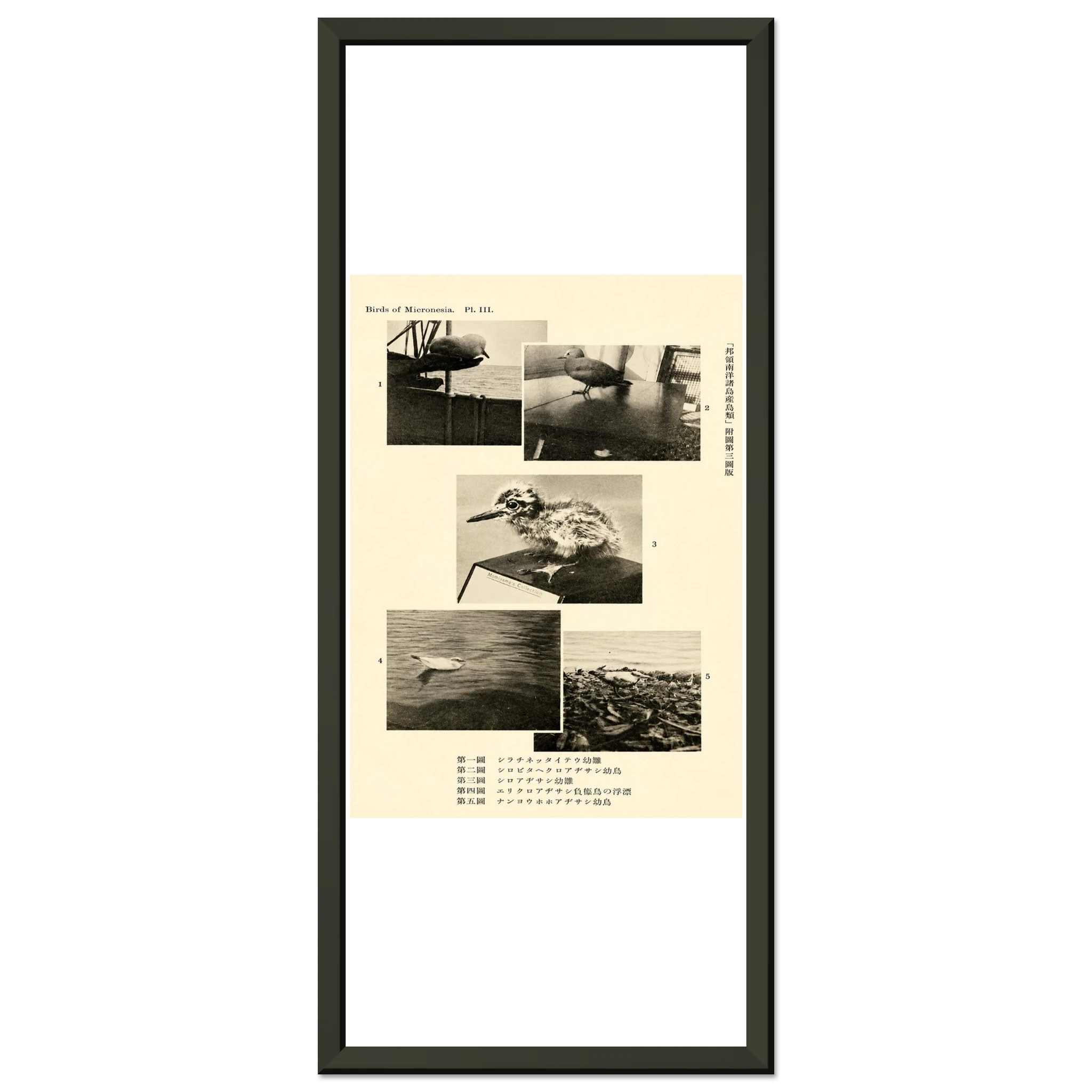 fce0779d-836d-43fb-b9df-3986f50fe1e9
