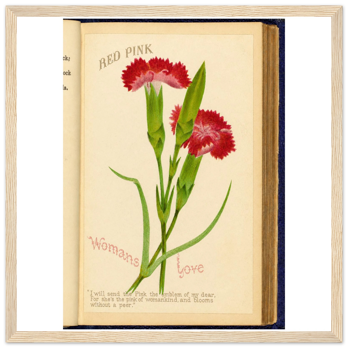 fd9e34ad-3f26-4483-84e3-7c7e470ae4a3