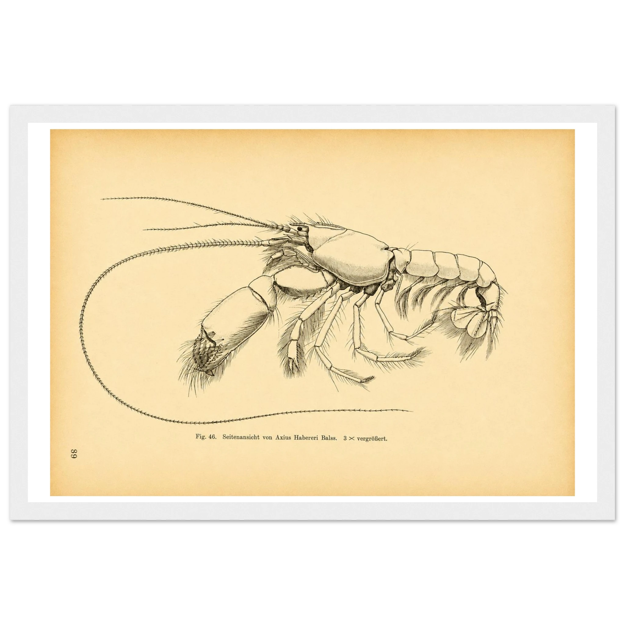 fdb3e42e-2487-40a4-9742-562782d5a62c