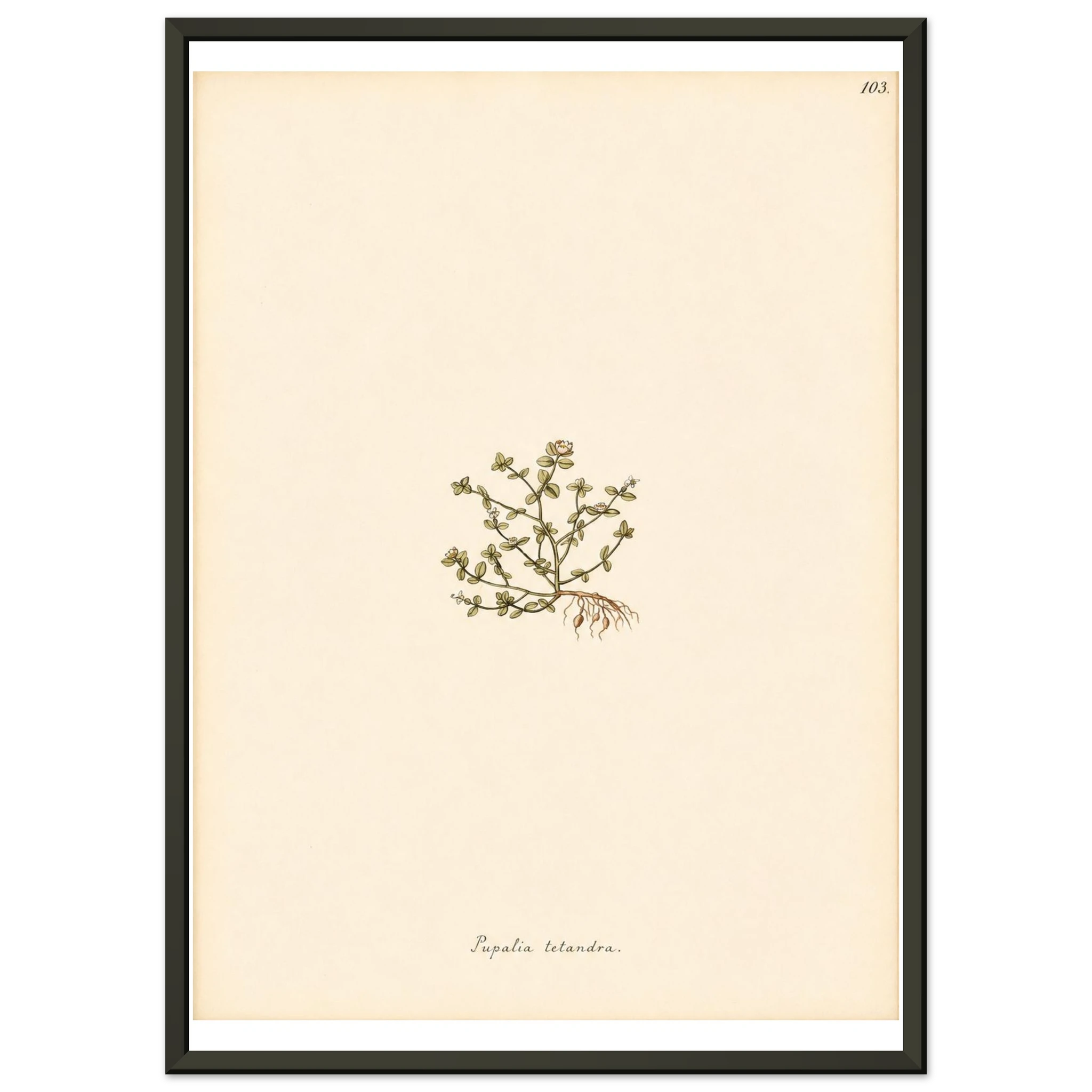 fdc1798b-f0b1-435a-a5aa-987083fcd6ff