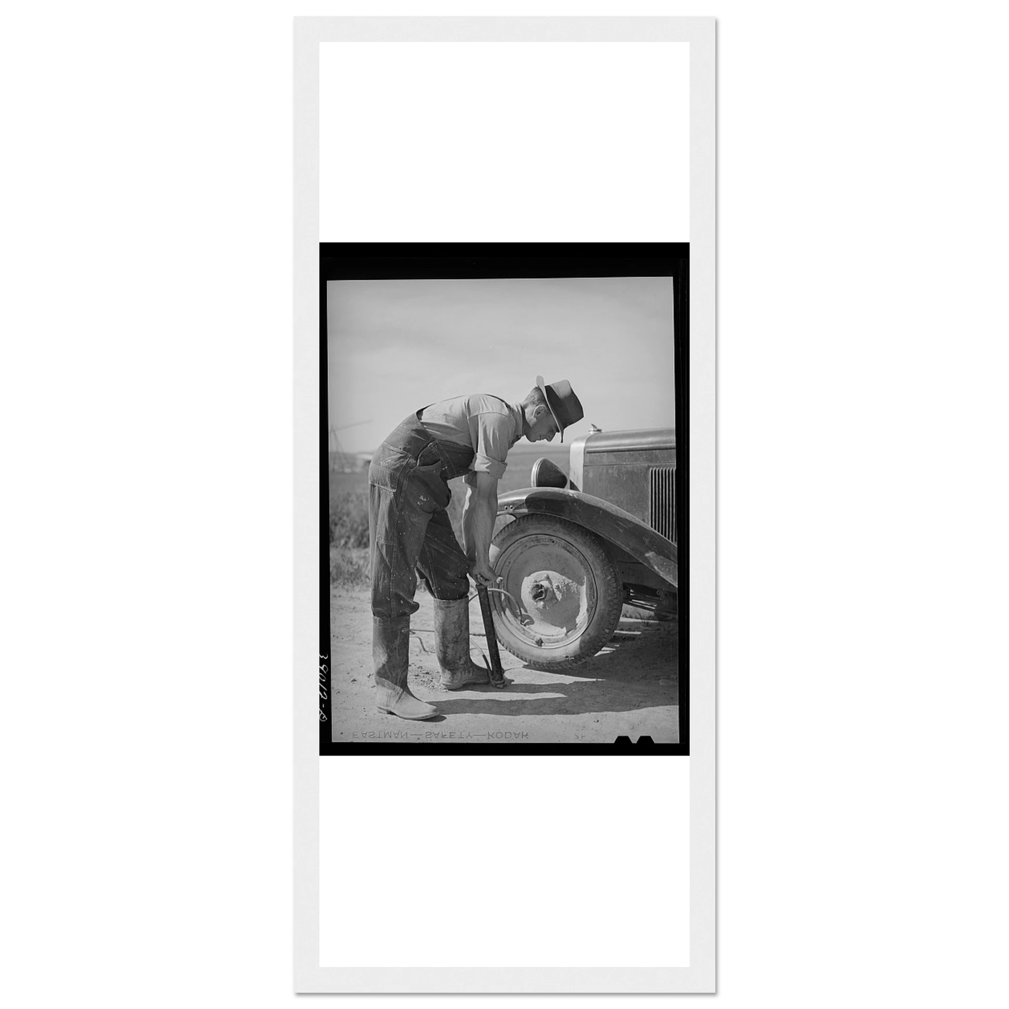 ff219453-55d9-4f39-bf6b-ddab03d8ff17