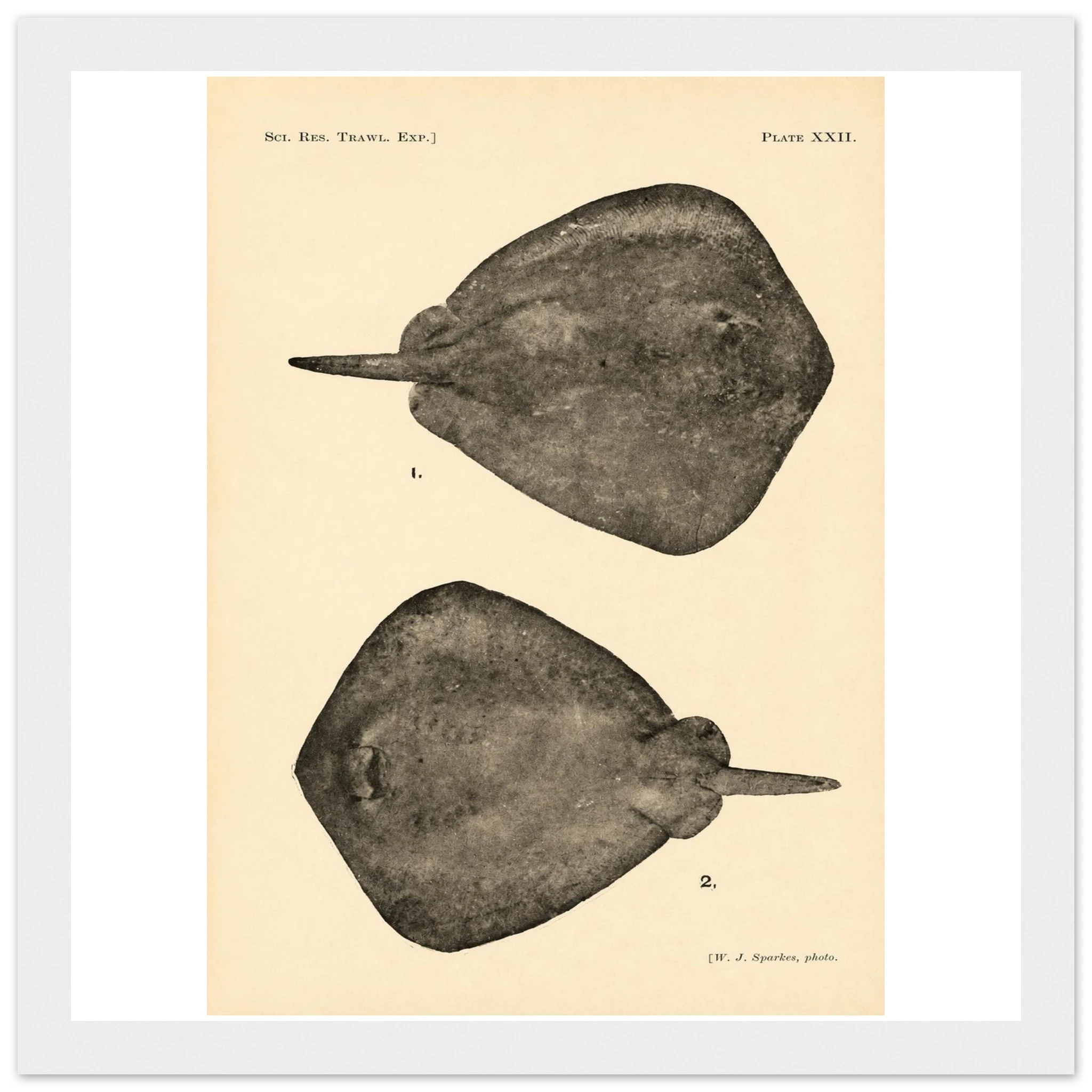 fffef0ca-4fd2-429d-9b50-007cba31e69c